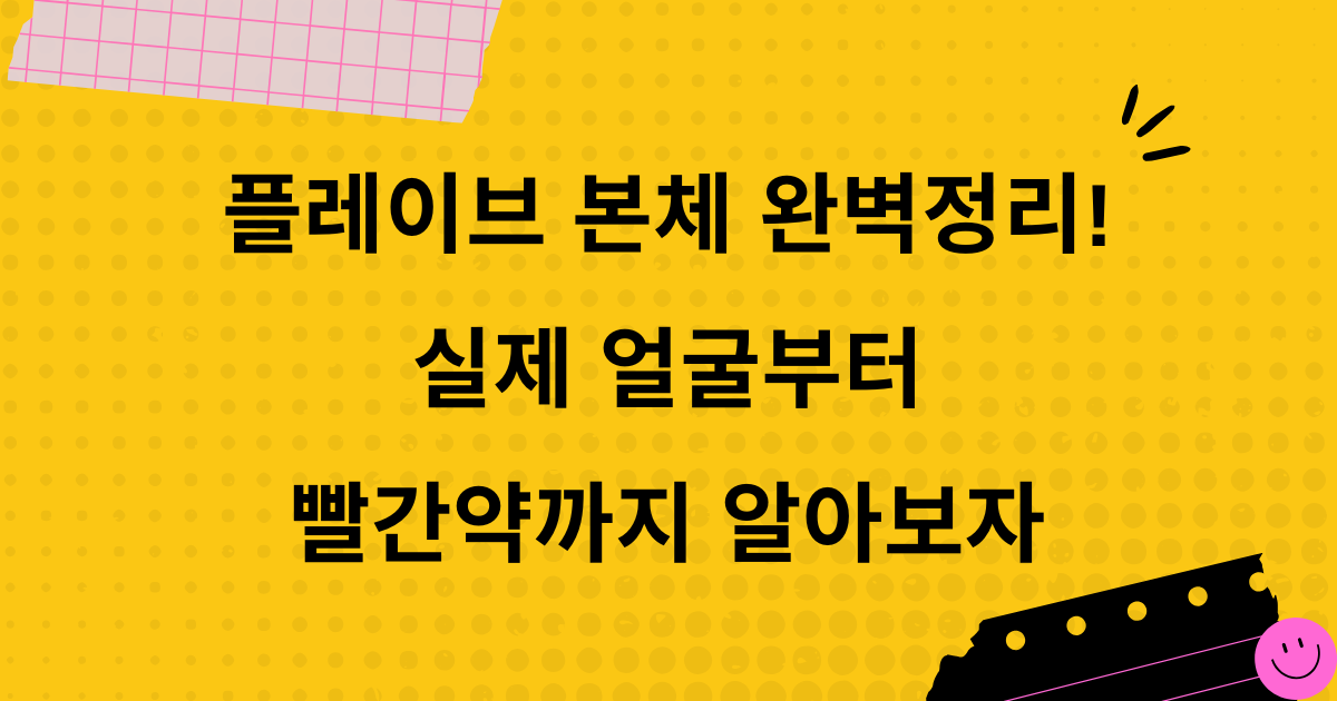 플레이브 본체 완벽정리! 실제 얼굴부터 빨간약까지 알아보자